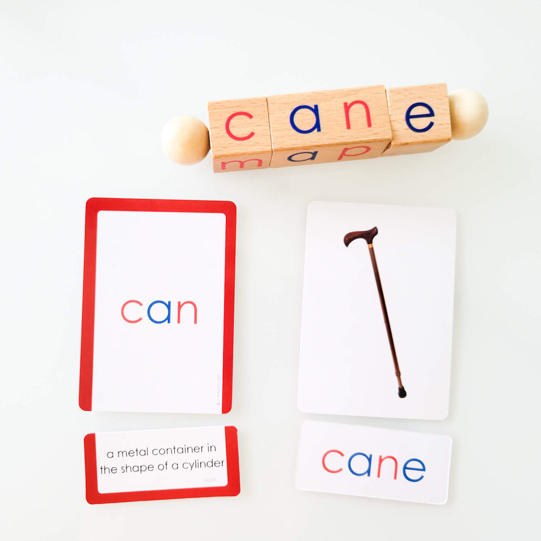 Can and cane flashcards with definition and image support featuring wooden letter blocks and illustrated cards to teach silent E transformation, homophones, and vocabulary meaning.