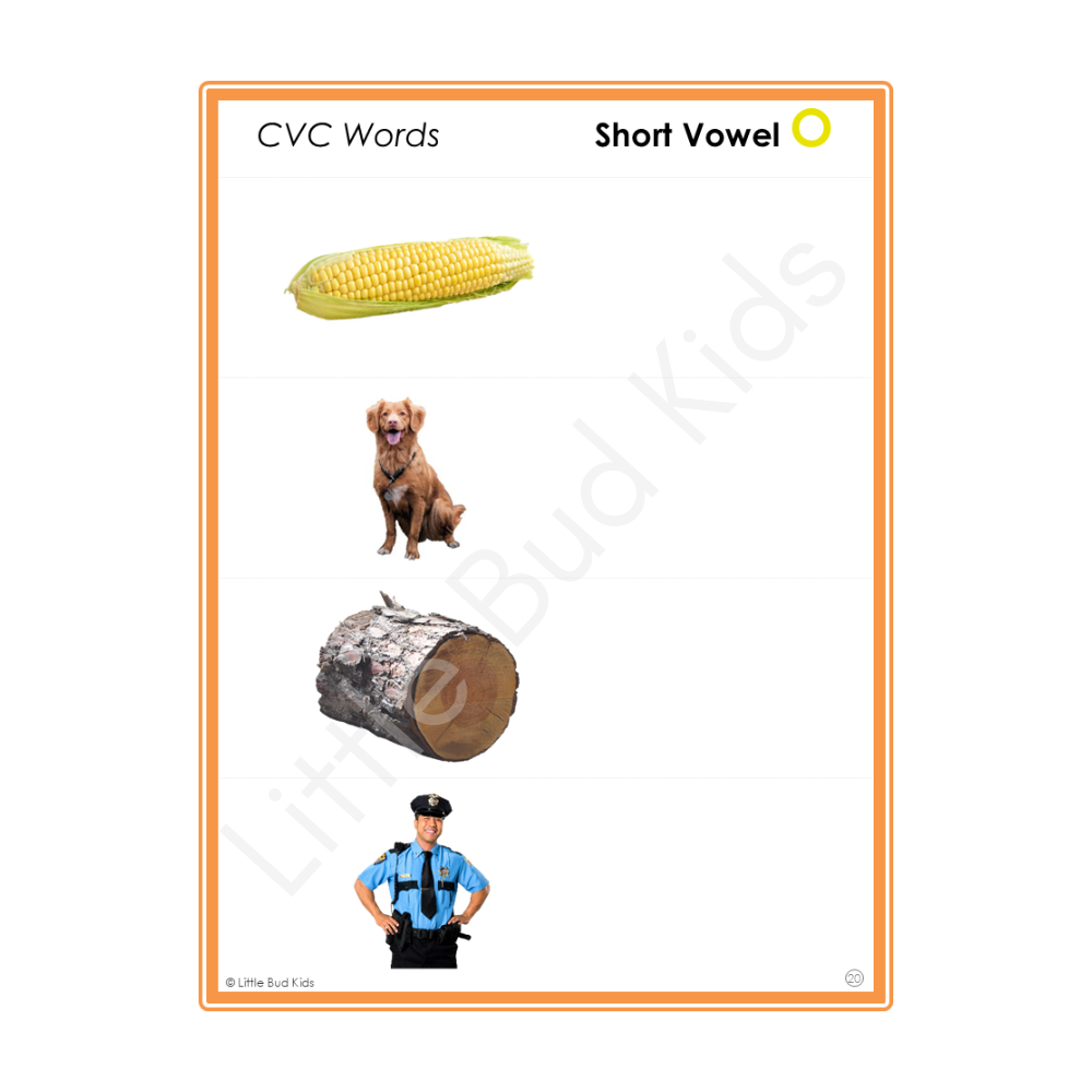 CVC (Consonant-Vowel-Consonant) Practice Worksheet Set DOWNLOAD - 25 pages - Little Bud Kids