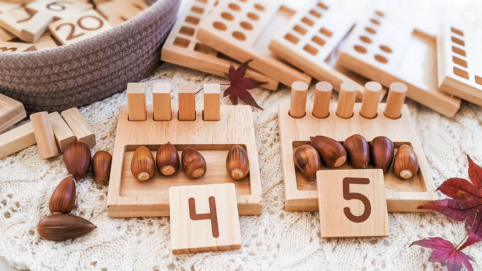 Little Bud Kids Counting Pegs with Acorn Counters