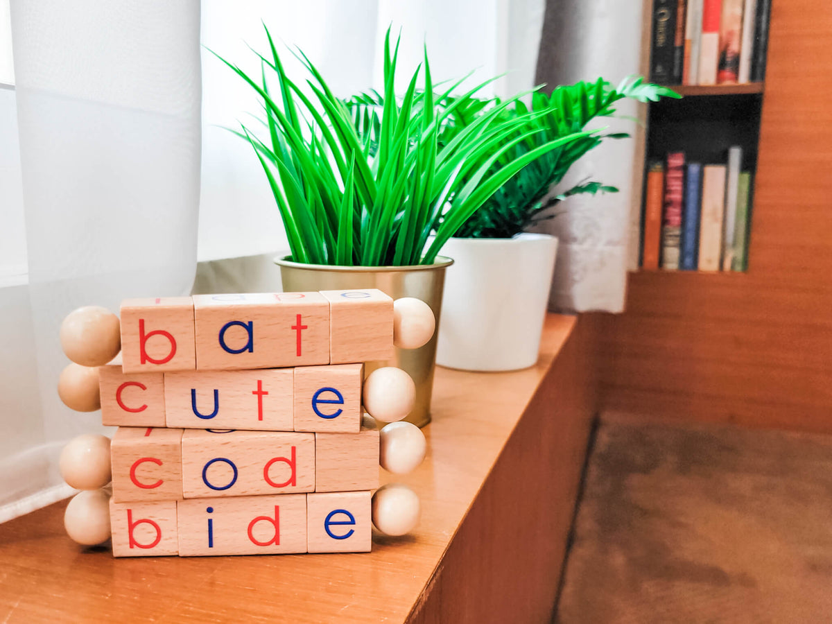 Wooden letter blocks spelling bat, cute, cod, and bide arranged on a natural surface with potted plants ideal for teaching phonics, silent E word patterns, and hands-on literacy play.