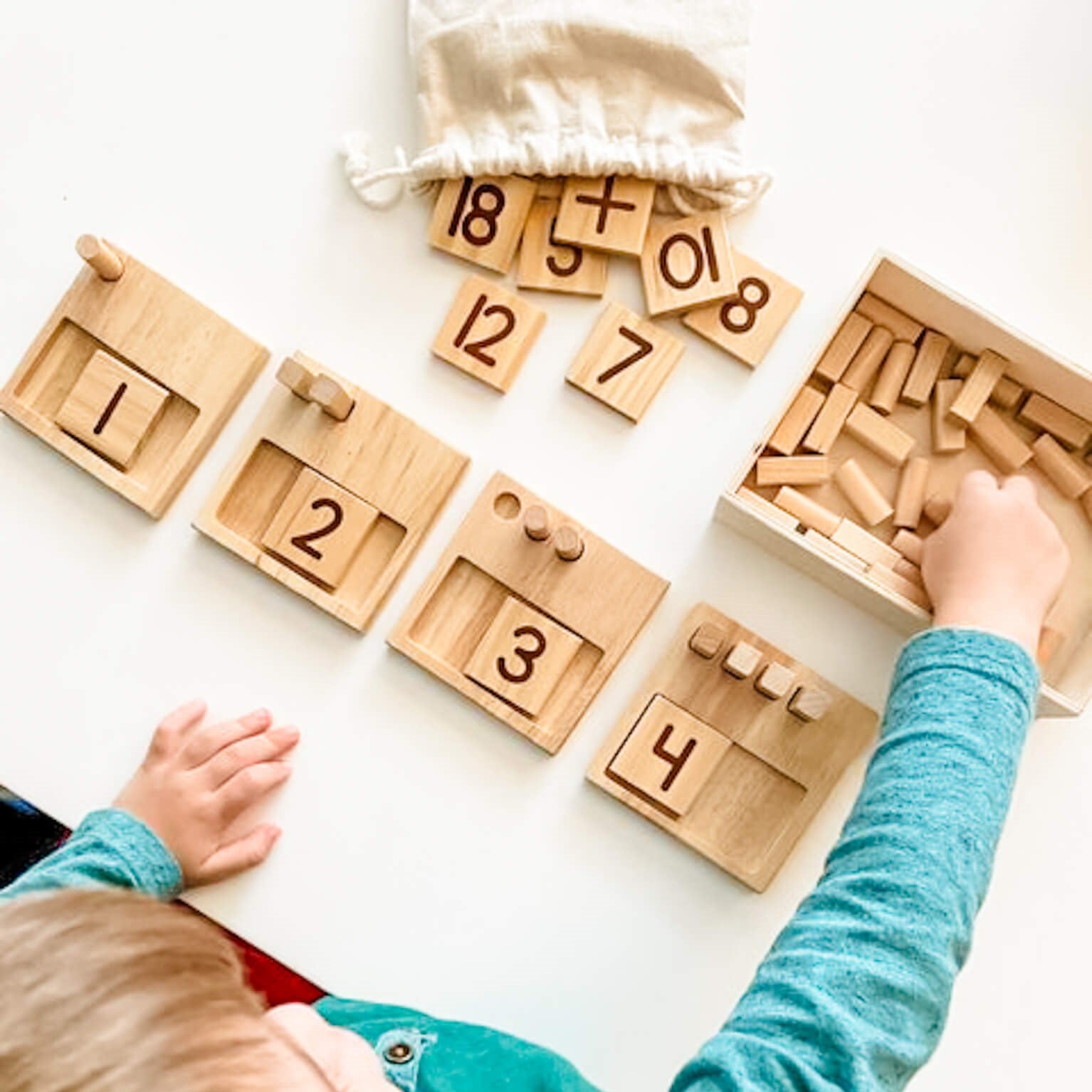 Littleschoolofsmiths and Little Bud Kids Counting Pegs Math Toy