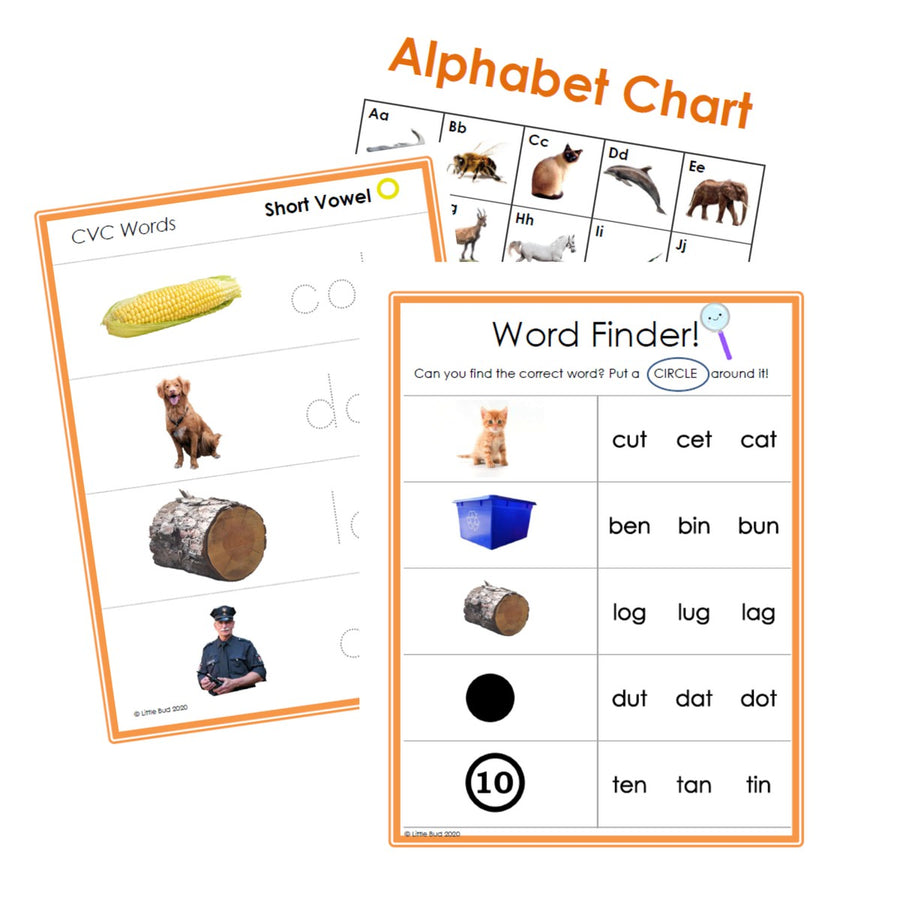 CVC (Consonant-Vowel-Consonant) Practice Worksheet Set DOWNLOAD - 25 pages - Little Bud Kids