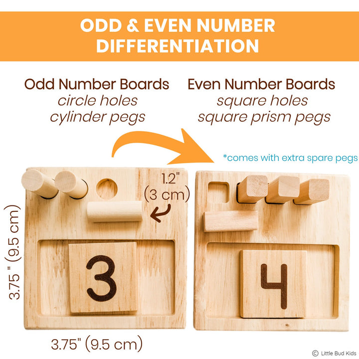 Odd & Even Number Learning for Kindergarten Math